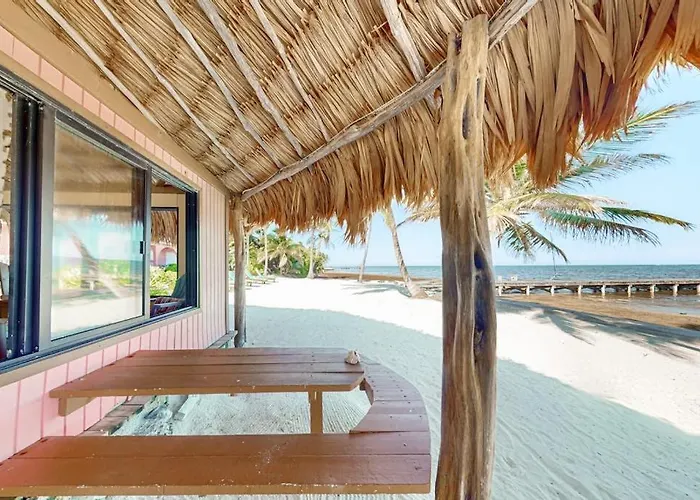 Dhalia #21 At Caribe Island San Pedro (Ambergris Caye)