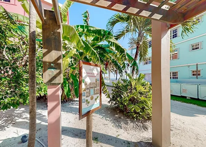 Dhalia #21 At Caribe Island San Pedro (Ambergris Caye)